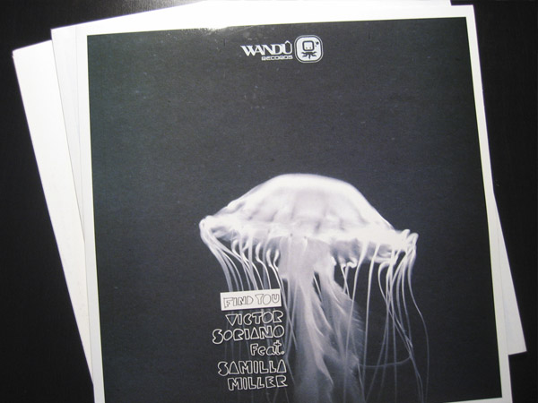 Wandu Records. Packaging vinyls