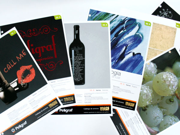 Peligraf. Dise�o y gesti�n nuevas fichas del cat�logo de servicios.