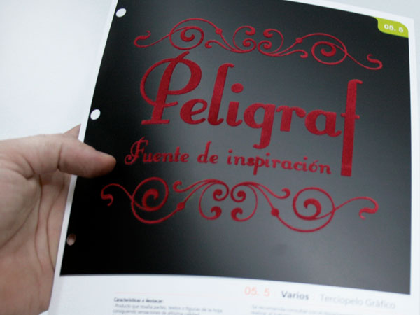 Peligraf. Dise�o y gesti�n nuevas fichas del cat�logo de servicios.