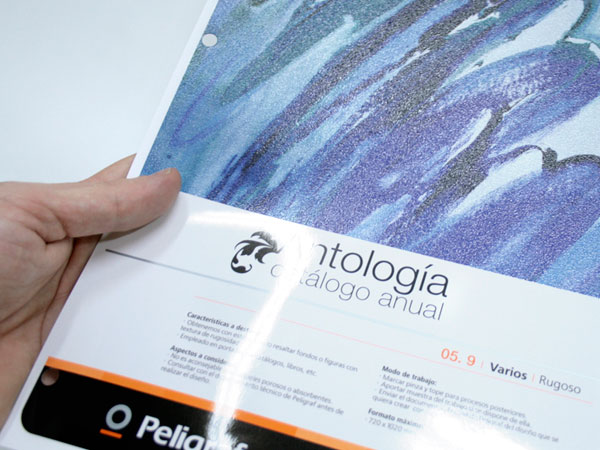 Peligraf. Dise�o y gesti�n nuevas fichas del cat�logo de servicios.