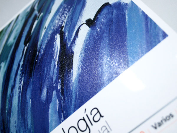 Peligraf. Dise�o y gesti�n nuevas fichas del cat�logo de servicios.