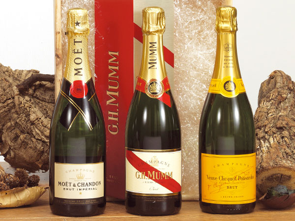 Sadival. Direcci�n fotogr�fica, dise�o y gesti�n de impresi�n